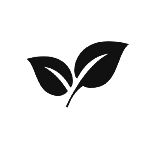 Freshco Shopping Logo